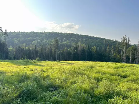 335 Calais Rd, Worcester, VT 05682 photo 29