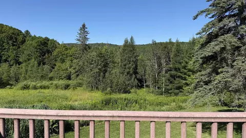 Other - 246 Gray Rd, Plainfield, VT 05667 photo 1 of 11
