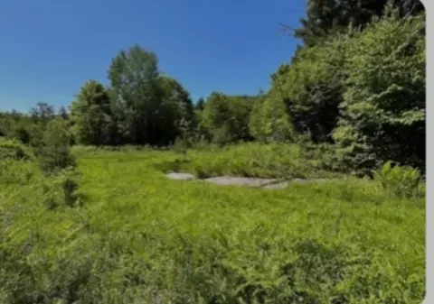 0 Alder Plains Rd, Bradford, NH 03221