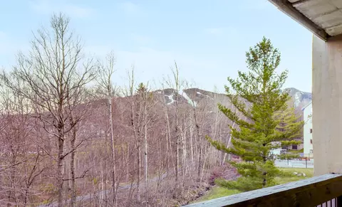 137 E Mountain Rd #IID02, Killington, VT 05751