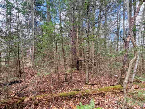 538 Oregon Rd, Concord, VT 05824 photo 7