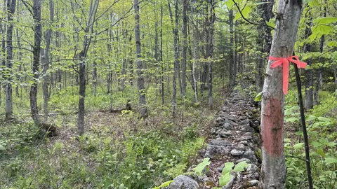 00 Potter Rd, Lowell, VT 05847