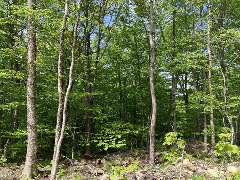 402 Fox Mt Rd #00CHM402.000, CHM403.000, Wilmington, VT 05363