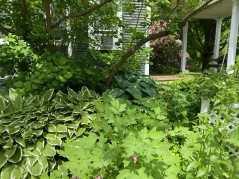 Exterior - 77 River St, Milton, VT 05468 photo 20 of 24