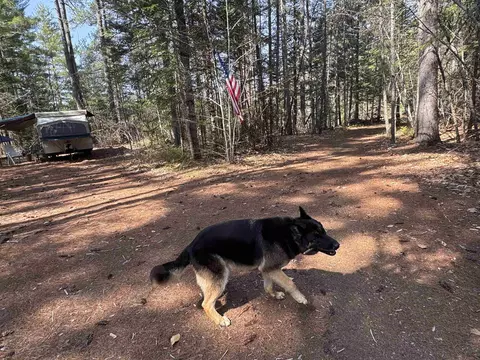 00 Province Lake Rd, Effingham, NH 03882
