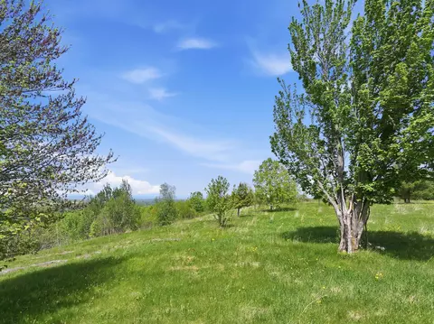 351 Ledgewood Dr, Williston, VT 05495 photo 10