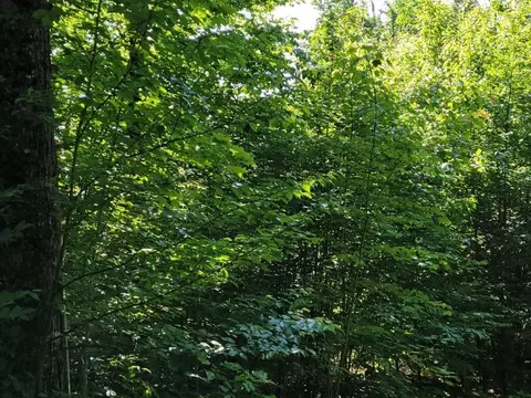 lot26 Presidential View Ln, Bethlehem, NH 03574