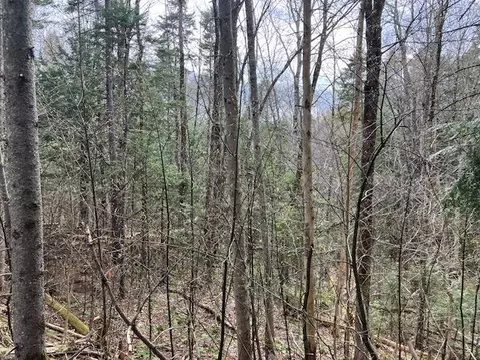 123 High Top Rd #B-123, Wilmington, VT 05363