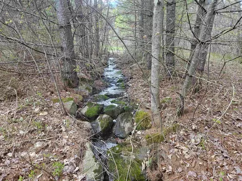 Other - 25 Yeaw Rd, Dover, VT 05341 photo 1 of 8