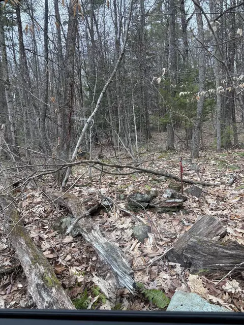00 Coon Hill Rd, Castleton, VT 05735