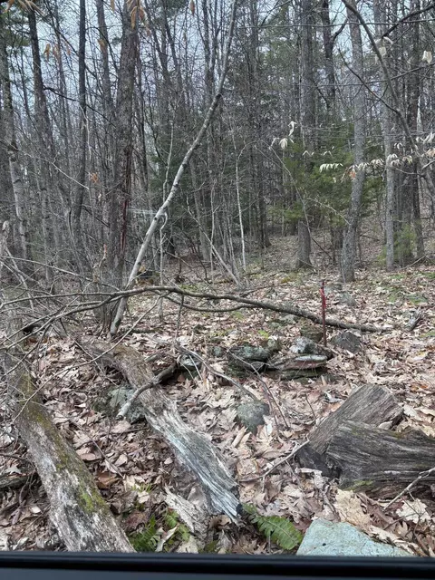 00 Coon Hill Rd, Castleton, VT 05735