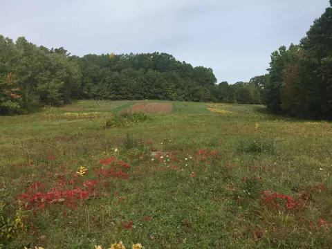 8 Stark Rd, Derry, NH 03038 photo 5