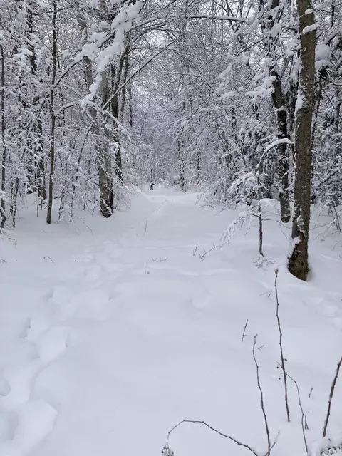 901 Journeys End Rd, Jay, VT 05859 photo 4