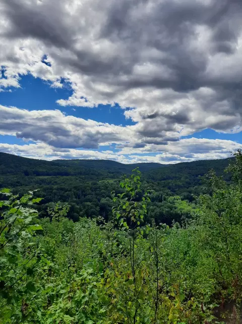 Other - 319 River Rd S, Putney, VT 05346 photo 5 of 6