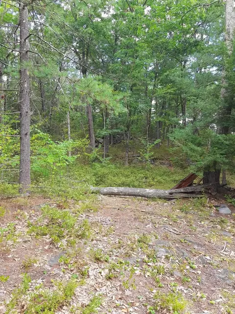 Exterior - 319 River Rd S, Putney, VT 05346 photo 5 of 7