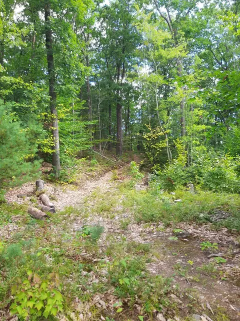 Other - 319 River Rd S, Putney, VT 05346 photo 6 of 6