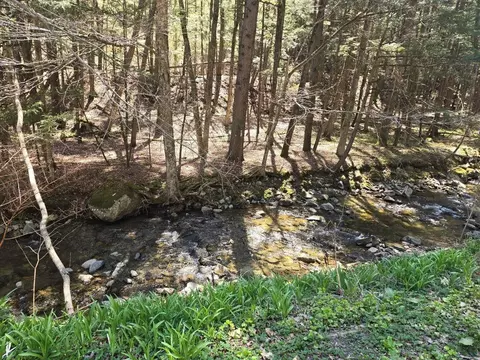 262 Seavers Brook Rd, Springfield, VT 05156