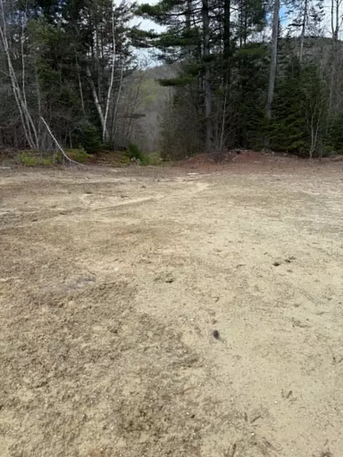 lot7 Bog Rd, Enfield, NH 03748