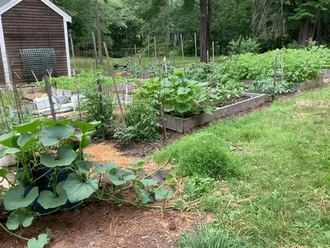 Exterior - 95 Kingston Rd, Exeter, NH 03833 photo 8 of 16