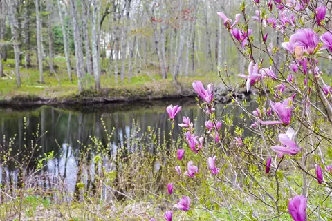View/Area - 95 Kingston Rd, Exeter, NH 03833 photo 2 of 7