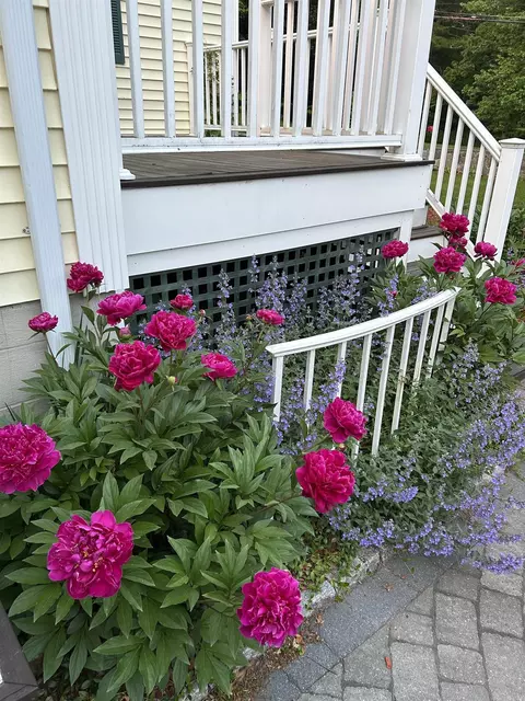 Exterior - 95 Kingston Rd, Exeter, NH 03833 photo 14 of 16