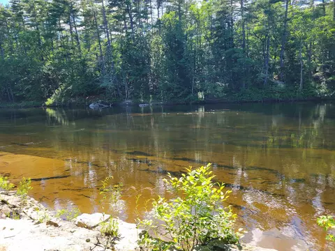 56 Bryant Dr, Conway, NH 03818