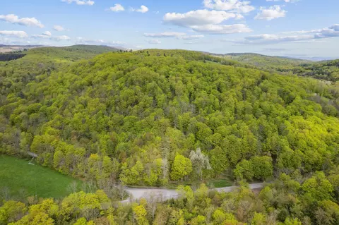 Noah Wood Road, Woodstock, VT 05071