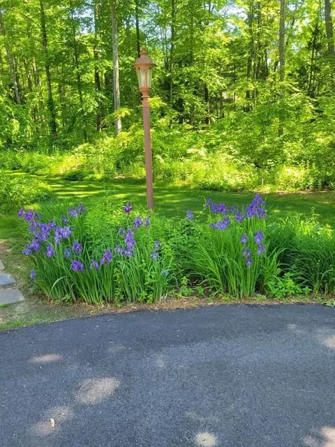 Exterior - 6 Nancy Ln, Hooksett, NH 03106 photo 2 of 21