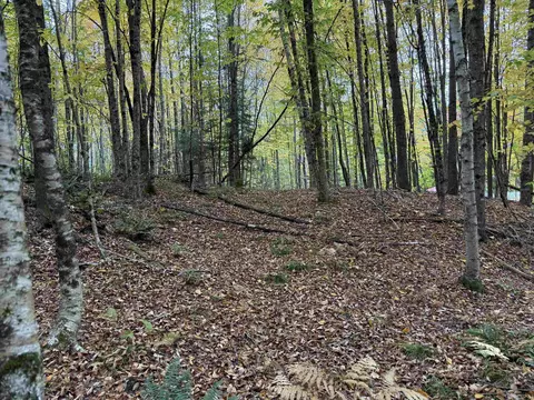 4 5 Forest Ln, Lyndonville, VT 05851