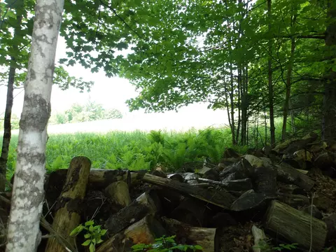 4 5 Forest Ln, Lyndonville, VT 05851