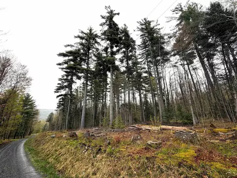 0 Bassett Hill Rd, Fayston, VT 05673