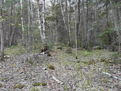 0 E Hill Rd, Andover, VT 05143 photo 7