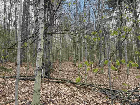 0 E Hill Rd, Andover, VT 05143 photo 9