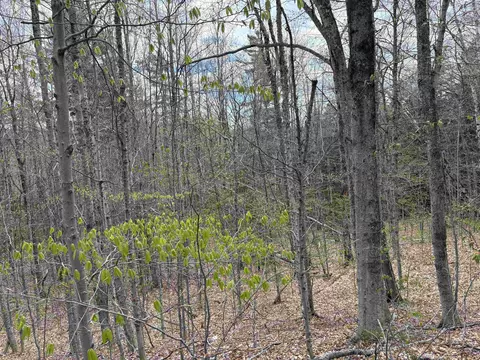 0 E Hill Rd, Andover, VT 05143 photo 10
