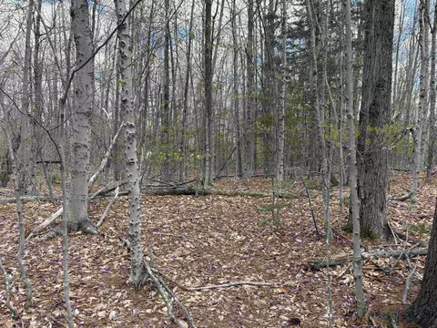 0 E Hill Rd, Andover, VT 05143 photo 11