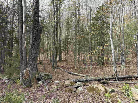 0 E Hill Rd, Andover, VT 05143 photo 13