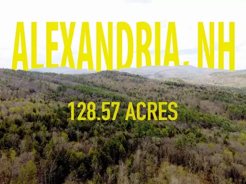 99 King Road # 413 l, Alexandria, NH 03222