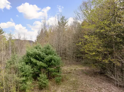 River View Road, Cambridge, VT 05464