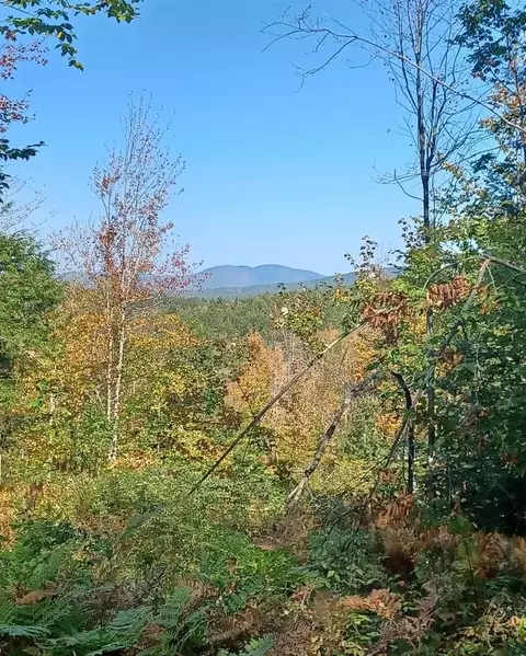 8 Wakefield North Rd, Wolfeboro, NH 03894