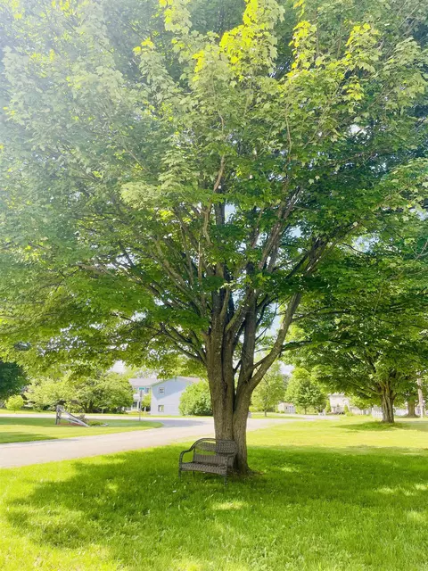 315 Jackson St, Newport, VT 05855