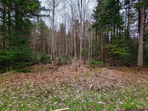 280 Guyette Rd, Marshfield, VT 05658 photo 9