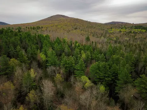 280 Guyette Rd, Marshfield, VT 05658 photo 5