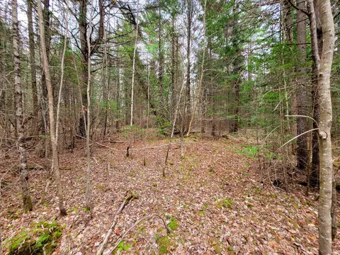 280 Guyette Rd, Marshfield, VT 05658 photo 24
