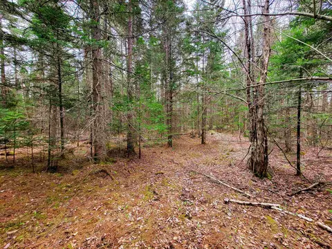 280 Guyette Rd, Marshfield, VT 05658 photo 17