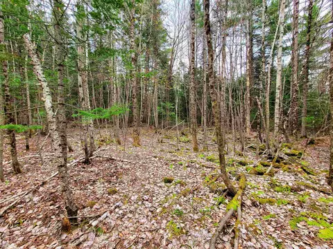 280 Guyette Rd, Marshfield, VT 05658 photo 25