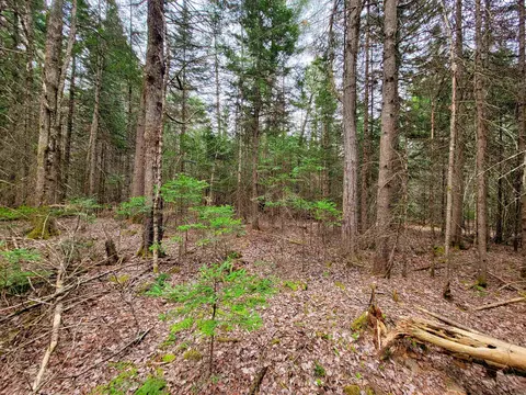 280 Guyette Rd, Marshfield, VT 05658 photo 14