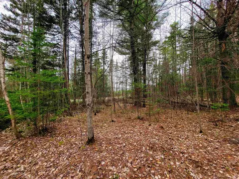 280 Guyette Rd, Marshfield, VT 05658 photo 26