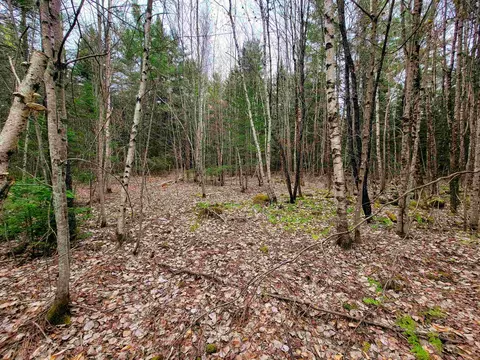 280 Guyette Rd, Marshfield, VT 05658 photo 11