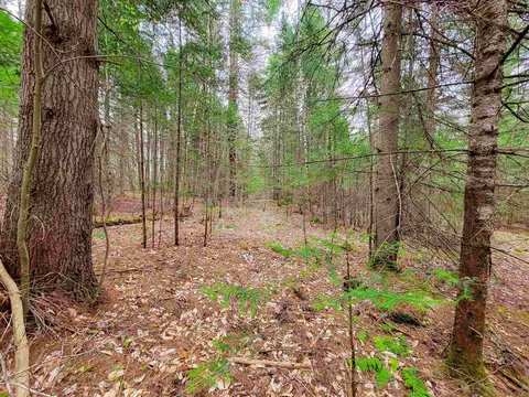 280 Guyette Rd, Marshfield, VT 05658 photo 22