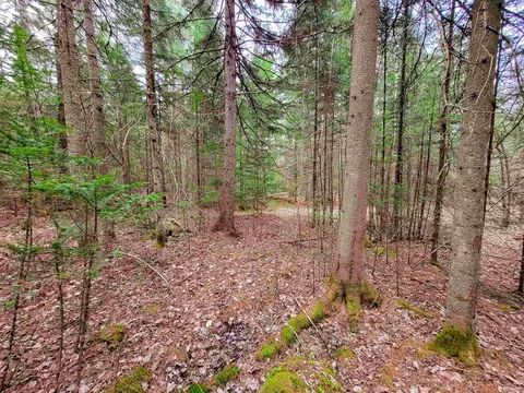 280 Guyette Rd, Marshfield, VT 05658 photo 16